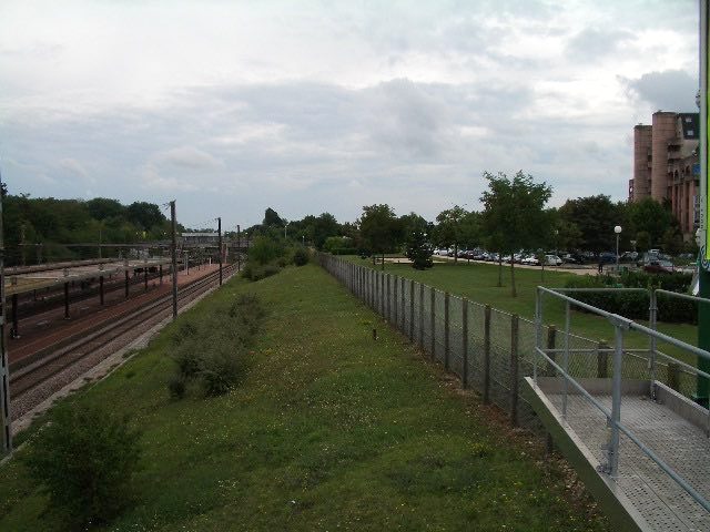 Terrain du Projet